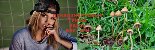 ECSTASY Армянск